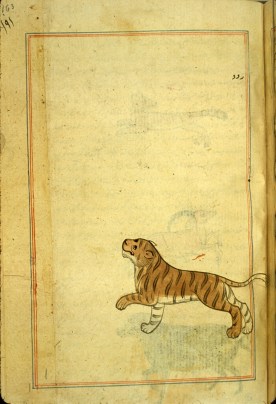 74529516_845274032536274_5970268853727395840_n