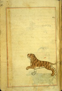 74529516_845274032536274_5970268853727395840_n