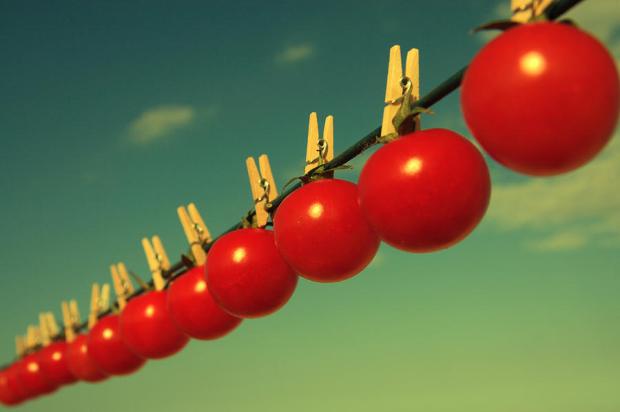 sun-dried-tomatoes-beata-czyzowska-young