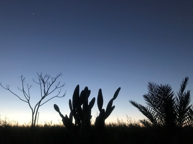 Strovolos-Arizona 2
