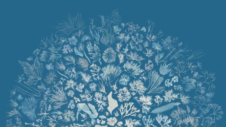 zoom-backgrounds-00016